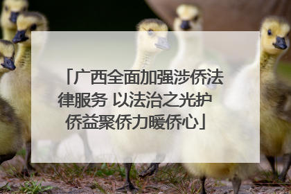 广西全面加强涉侨法律服务 以法治之光护侨益聚侨力暖侨心