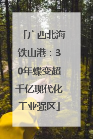 广西北海铁山港：30年蝶变超千亿现代化工业强区
