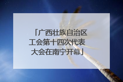 广西壮族自治区工会第十四次代表大会在南宁开幕