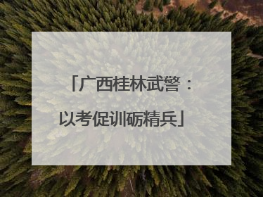 广西桂林武警：以考促训砺精兵