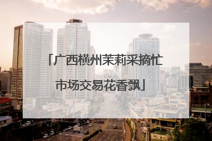 广西横州茉莉采摘忙 市场交易花香飘