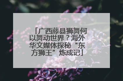 广西藤县狮舞何以舞动世界？海外华文媒体探秘“东方狮王”炼成记