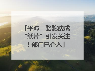平潭一骆驼瘦成“纸片”引发关注！部门已介入
