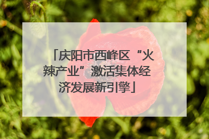 庆阳市西峰区“火辣产业”激活集体经济发展新引擎