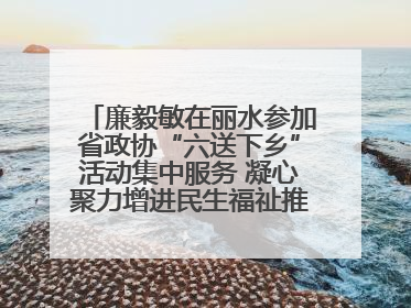 廉毅敏在丽水参加省政协“六送下乡”活动集中服务 凝心聚力增进民生福祉推进共同富裕