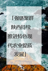 强链聚群 陕西持续推进特色现代农业提质发展