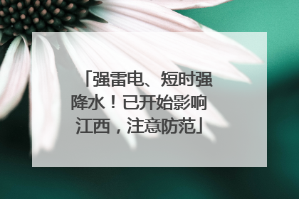 强雷电、短时强降水！已开始影响江西，注意防范