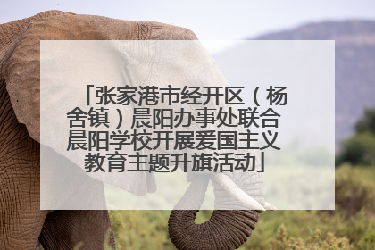 张家港市经开区（杨舍镇）晨阳办事处联合晨阳学校开展爱国主义教育主题升旗活动