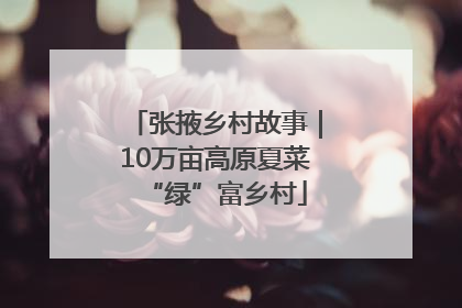 张掖乡村故事｜10万亩高原夏菜“绿”富乡村