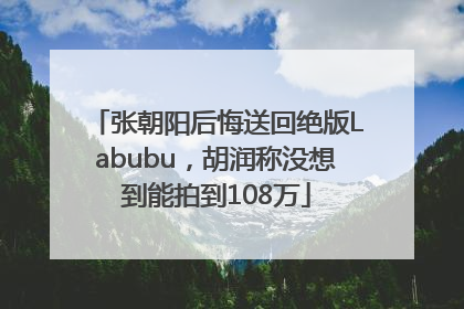 张朝阳后悔送回绝版Labubu，胡润称没想到能拍到108万