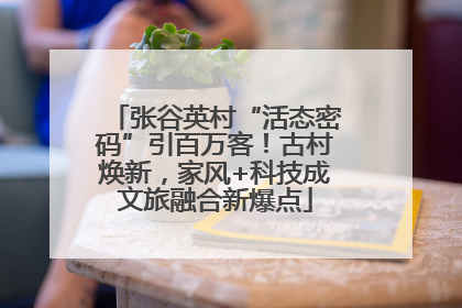 张谷英村“活态密码”引百万客！古村焕新，家风+科技成文旅融合新爆点