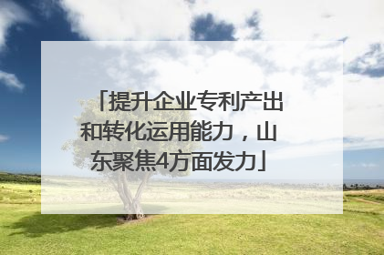 提升企业专利产出和转化运用能力，山东聚焦4方面发力