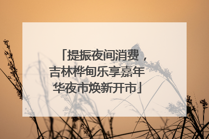 提振夜间消费，吉林桦甸乐享嘉年华夜市焕新开市