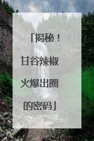 揭秘！甘谷辣椒火爆出圈的密码