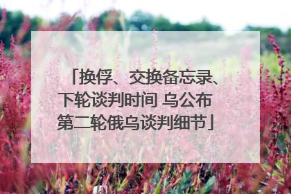 换俘、交换备忘录、下轮谈判时间 乌公布第二轮俄乌谈判细节