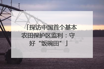 探访中国首个基本农田保护区监利：守好“饭碗田”