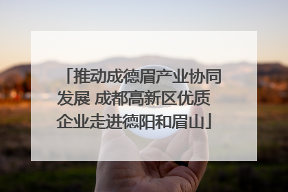 推动成德眉产业协同发展 成都高新区优质企业走进德阳和眉山