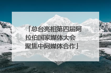 总台亮相第四届阿拉伯国家媒体大会 聚焦中阿媒体合作