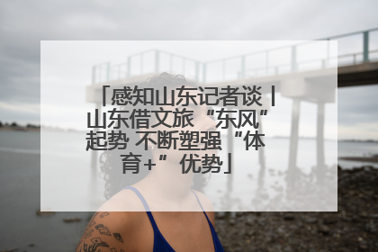 感知山东记者谈丨山东借文旅“东风”起势 不断塑强“体育+”优势