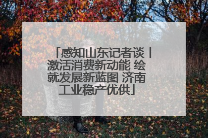 感知山东记者谈丨激活消费新动能 绘就发展新蓝图 济南工业稳产优供