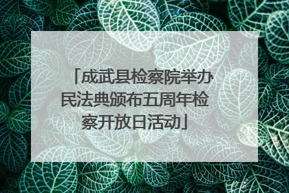 成武县检察院举办民法典颁布五周年检察开放日活动