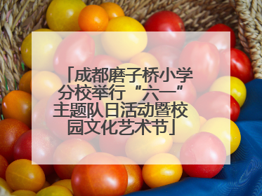 成都磨子桥小学分校举行“六一”主题队日活动暨校园文化艺术节