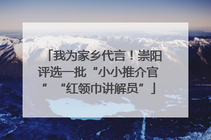 我为家乡代言！崇阳评选一批“小小推介官”“红领巾讲解员”