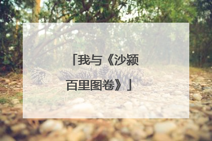 我与《沙颍百里图卷》