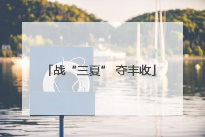 战“三夏” 夺丰收