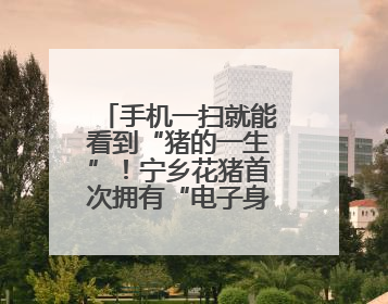 手机一扫就能看到“猪的一生”！宁乡花猪首次拥有“电子身份证”