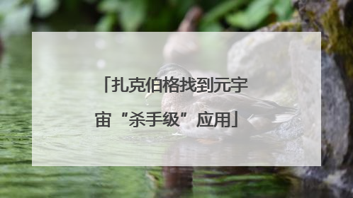 扎克伯格找到元宇宙“杀手级”应用