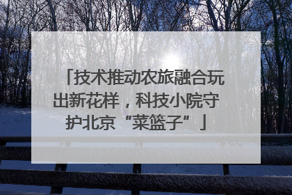 技术推动农旅融合玩出新花样，科技小院守护北京“菜篮子”