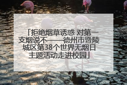 拒绝烟草诱惑 对第一支烟说不——德州市暨陵城区第38个世界无烟日主题活动走进校园