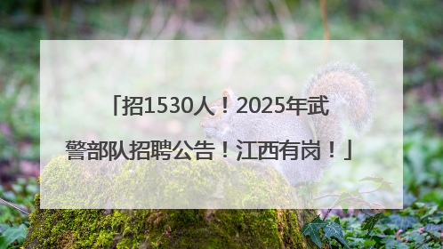 招1530人！2025年武警部队招聘公告！江西有岗！