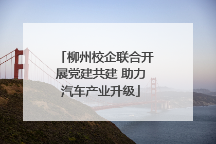 柳州校企联合开展党建共建 助力汽车产业升级