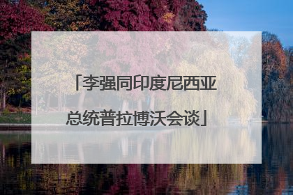 李强同印度尼西亚总统普拉博沃会谈