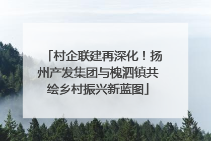 村企联建再深化！扬州产发集团与槐泗镇共绘乡村振兴新蓝图