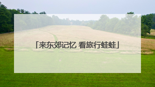 来东郊记忆 看旅行蛙蛙