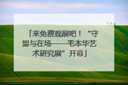 来免费观展吧！“守望与在场——毛本华艺术研究展”开幕