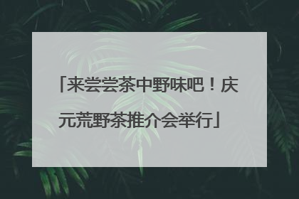 来尝尝茶中野味吧！庆元荒野茶推介会举行