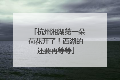 杭州湘湖第一朵荷花开了！西湖的还要再等等