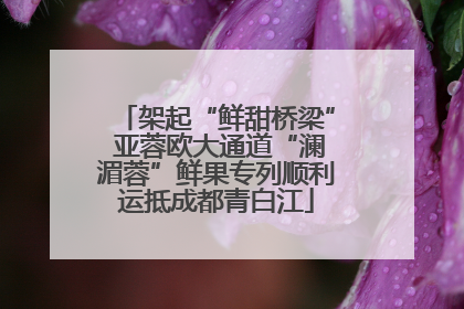 架起“鲜甜桥梁” 亚蓉欧大通道“澜湄蓉”鲜果专列顺利运抵成都青白江
