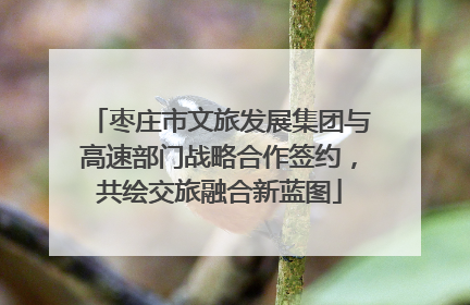 枣庄市文旅发展集团与高速部门战略合作签约，共绘交旅融合新蓝图