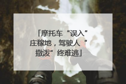 摩托车“误入”庄稼地，驾驶人“撒泼”终难逃