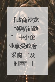政商沙龙“架桥铺路” 中小企业享受政府采购 “及时雨”