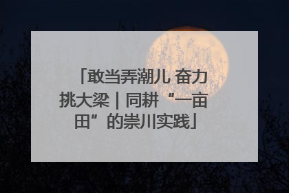 敢当弄潮儿 奋力挑大梁｜同耕“一亩田”的崇川实践