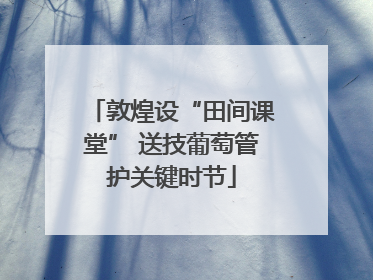 敦煌设“田间课堂” 送技葡萄管护关键时节