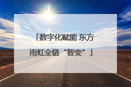 数字化赋能 东方雨虹全链“智变”