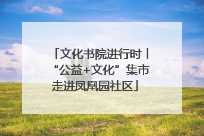 文化书院进行时丨“公益+文化”集市走进凤凰园社区