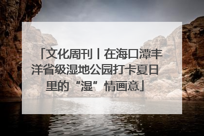 文化周刊丨在海口潭丰洋省级湿地公园打卡夏日里的“湿”情画意